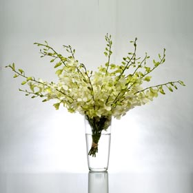 Stylish White Orchid Vase